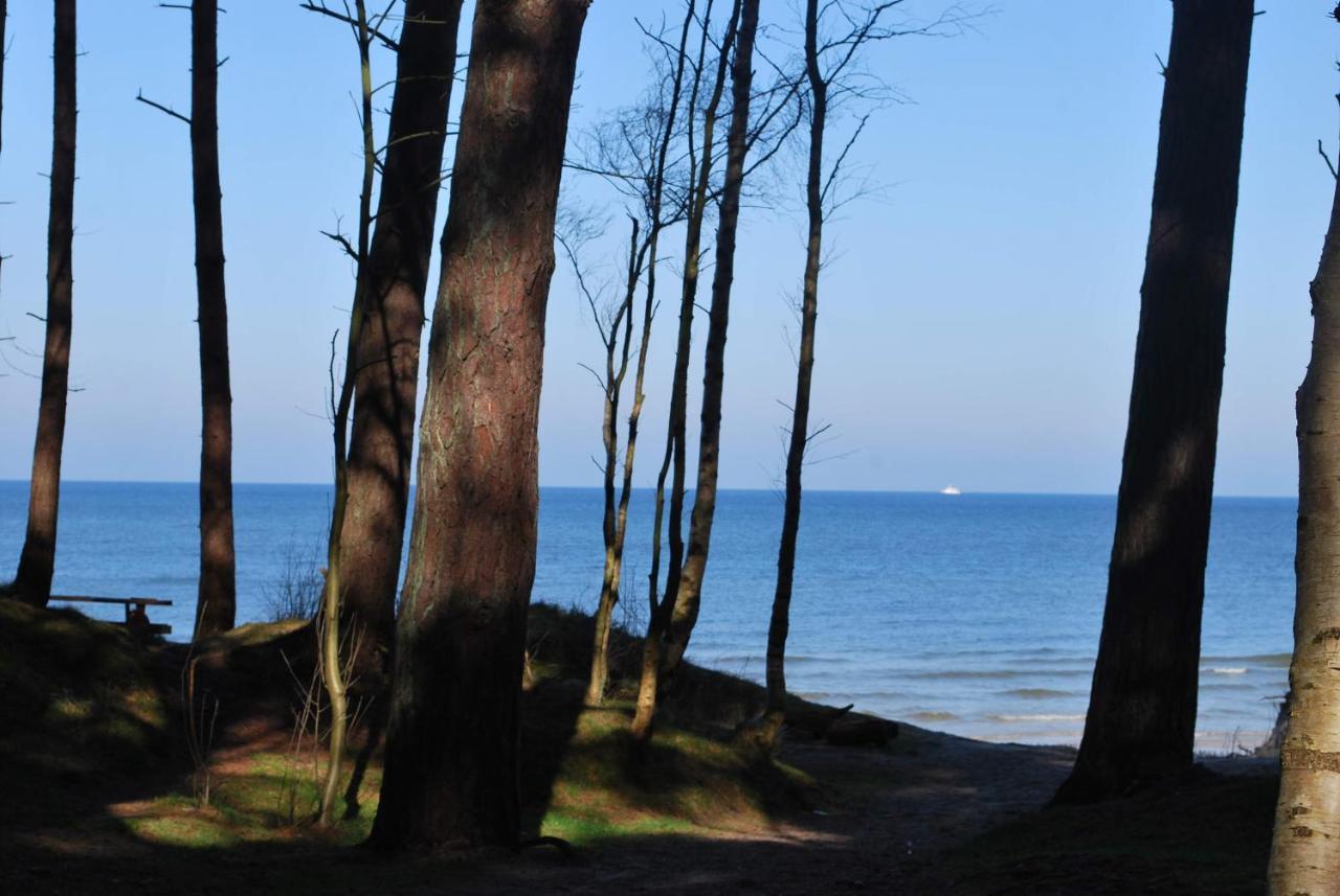 Kalinowa14 Holiday home Kopalino