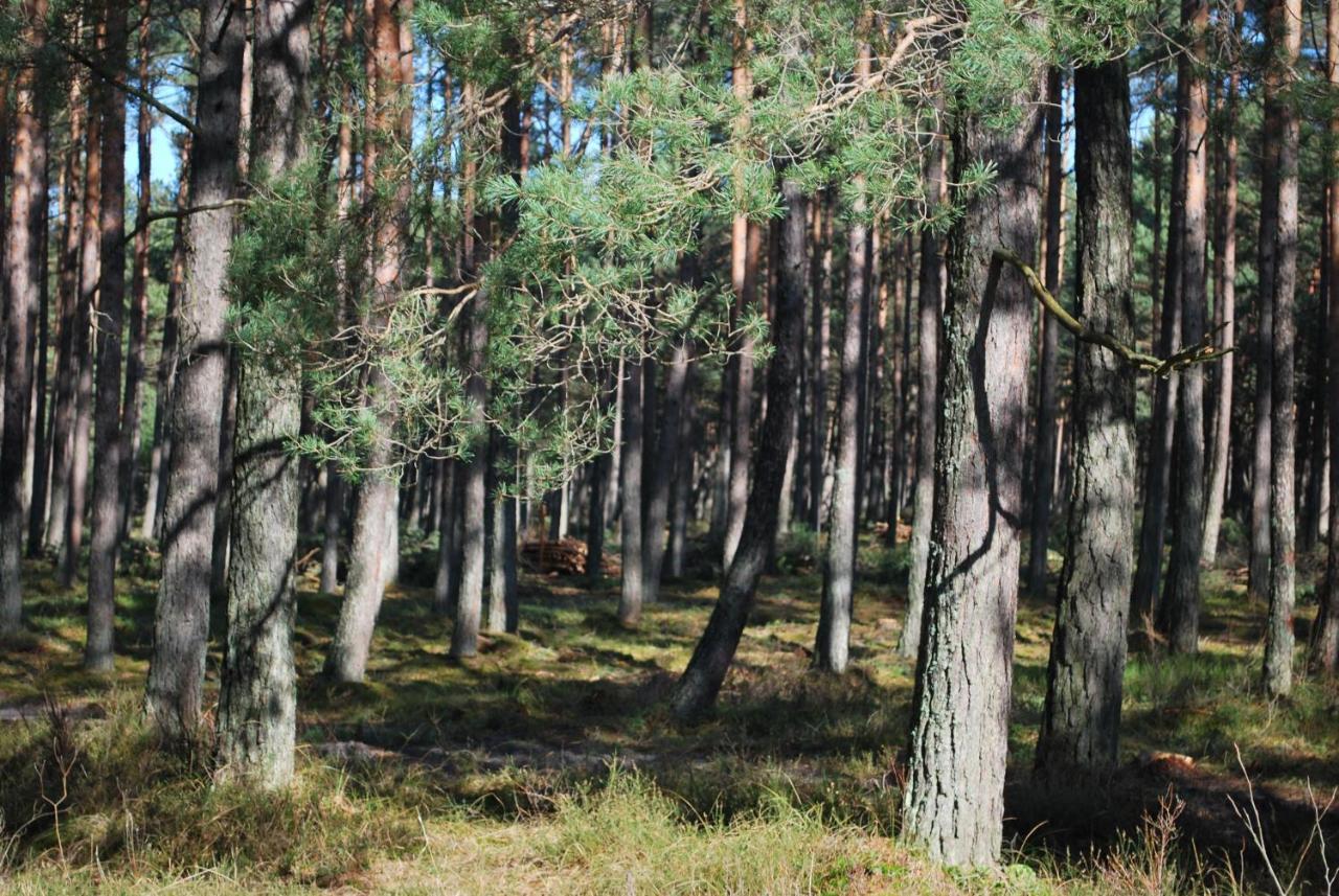 Kalinowa14 Kopalino